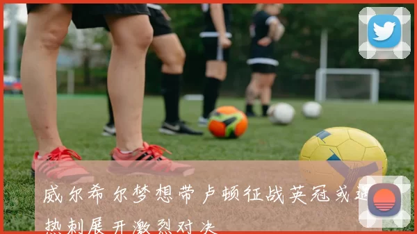 威尔希尔梦想带卢顿征战英冠或遇热刺展开激烈对决