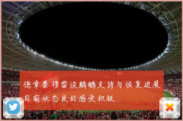 德章泰穆雷谈鹈鹕支持与恢复进展目前状态良好感受积极