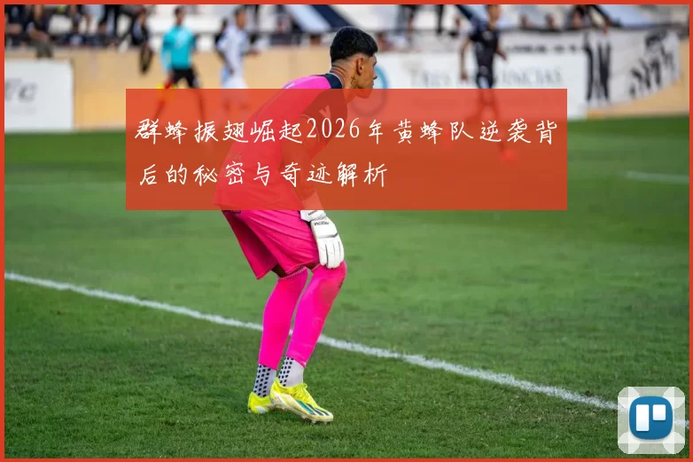 群蜂振翅崛起2026年黄蜂队逆袭背后的秘密与奇迹解析